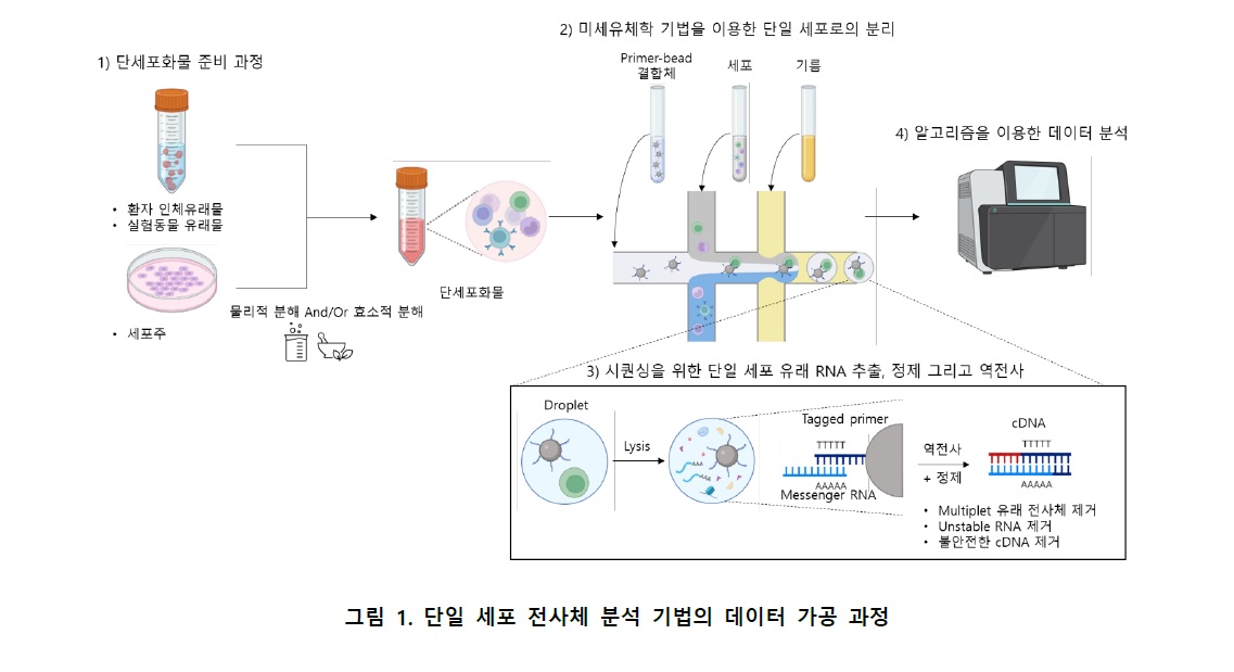 단일세포.jpg