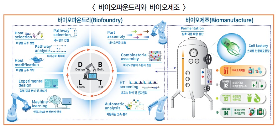 합성생물학.jpg