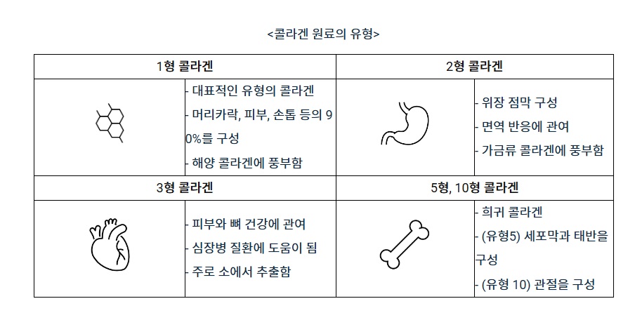 콜라겐.jpg