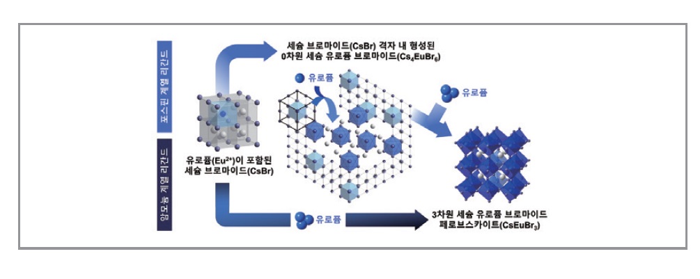 나노.jpg